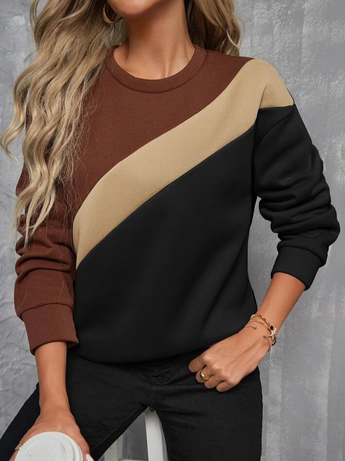 Women Multicolor Block Crew Neck Long Sleeve Casual Daily Spring/Fall Sweatshirt