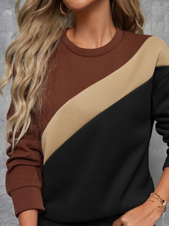 Women Multicolor Block Crew Neck Long Sleeve Casual Daily Spring/Fall Sweatshirt