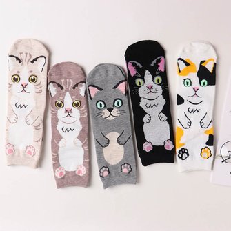 The four seasons can wear a cat socks