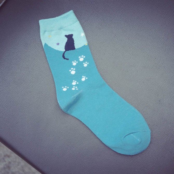 The Cat Printing Socks