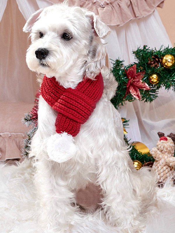 Animals &amp; Pet Supplies Art Tiki Dog Outfit-image-14274754