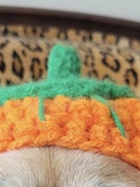Halloween Pumpkin Pet Hat Hand Knitted Cat Dog Wool Hat