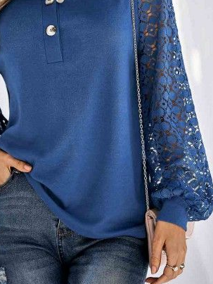 Lantern Sleeve Lace Casual V Neck Top