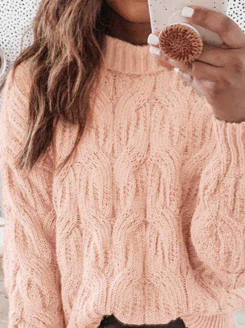 Plain Regular Fit Wool/Knitting Casual Sweater