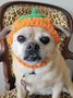 Halloween Pumpkin Pet Hat Hand Knitted Cat Dog Wool Hat