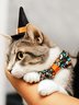 Halloween Decorative Pet Pumpkin Ghost Collar